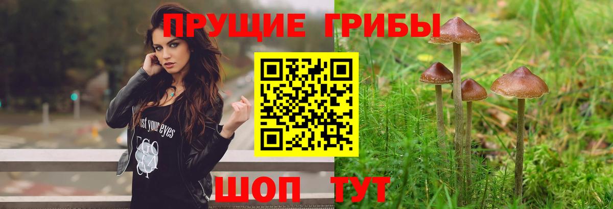 Галлюциногенные грибы ЛСД  Вход с VPN  Калач-на-Дону  Галлюциногенные грибы мухоморы 
